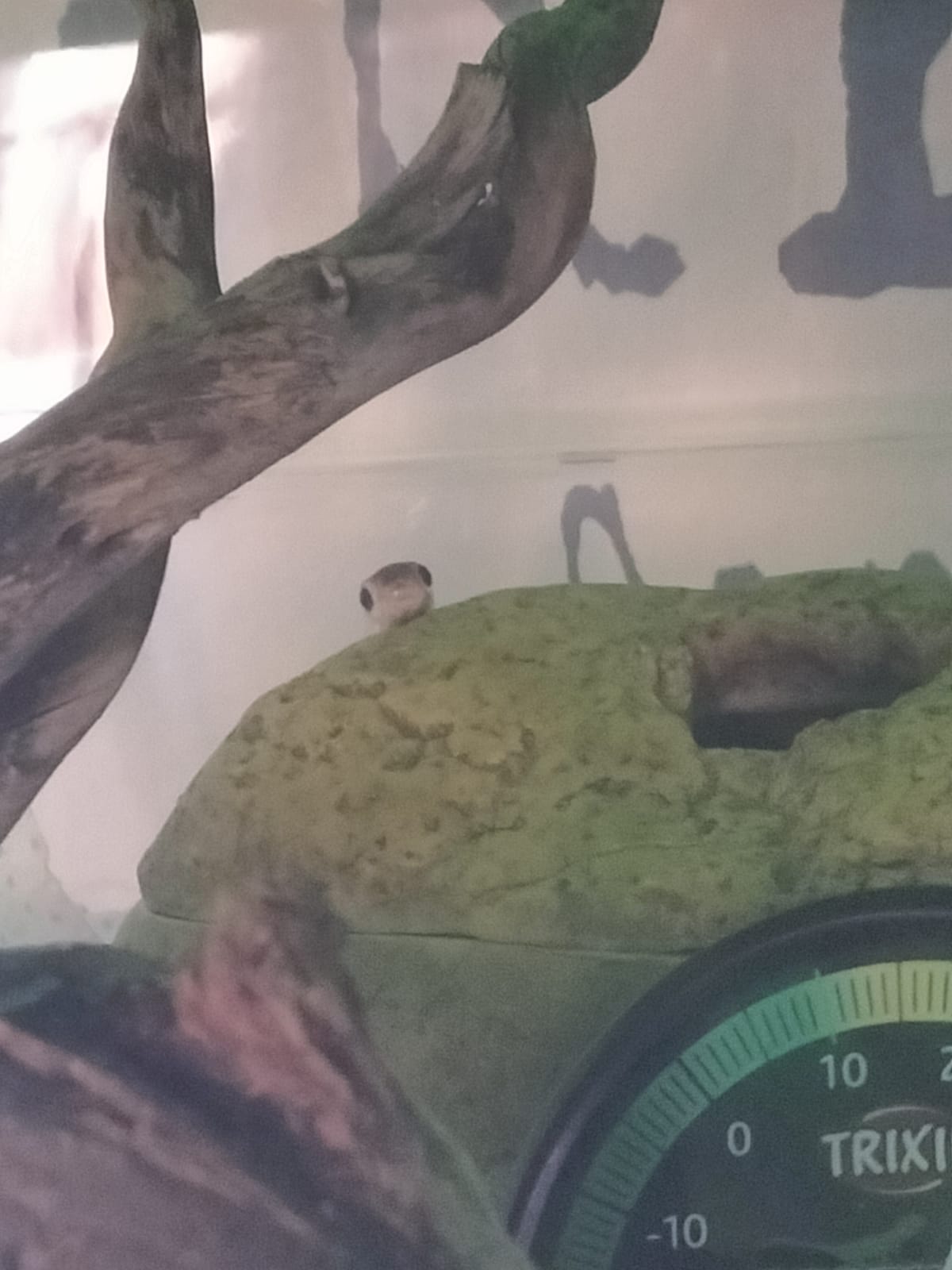 WhatsApp Image 2022-01-13 at 10.11.27.jpeg