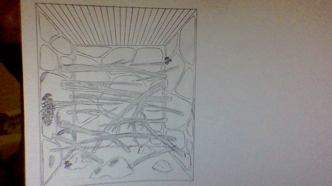 WIN_20160522_19_55_00_Pro