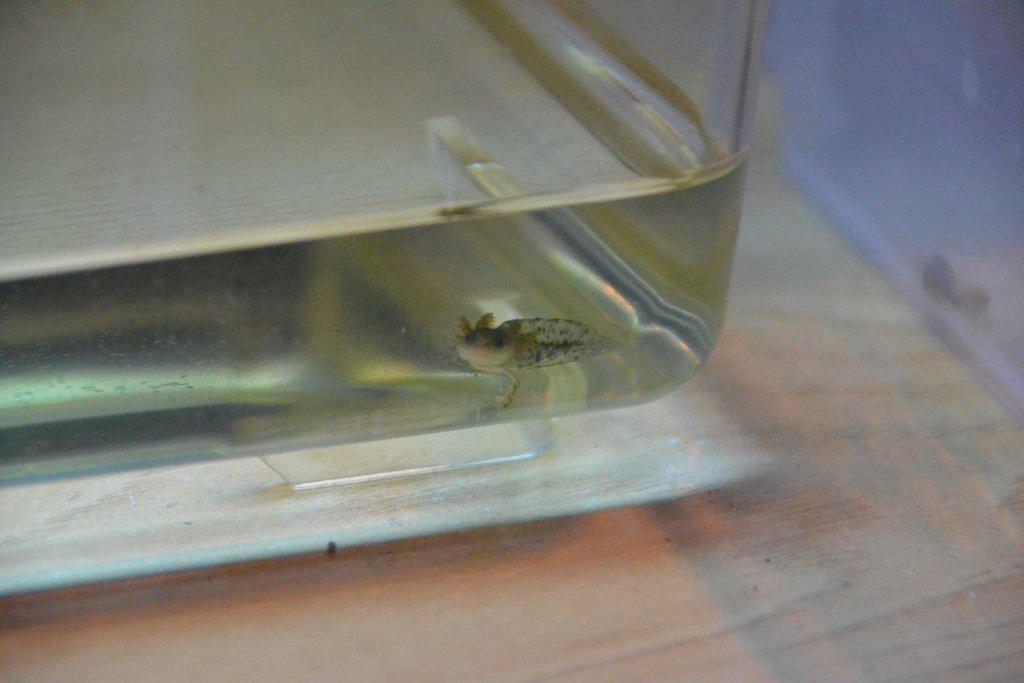 Ya relacionan quien les da de comer