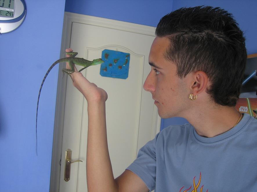 yo con basiliscus plumifrons (5).jpg