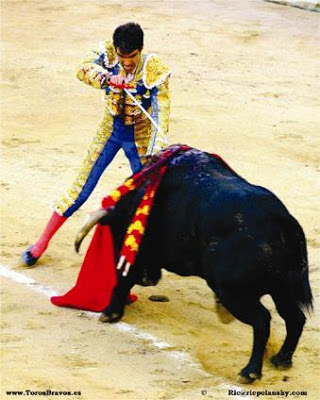 tauromaquia03.jpg