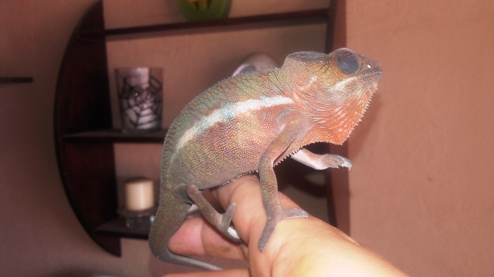 20160220_115710-jpg.205035