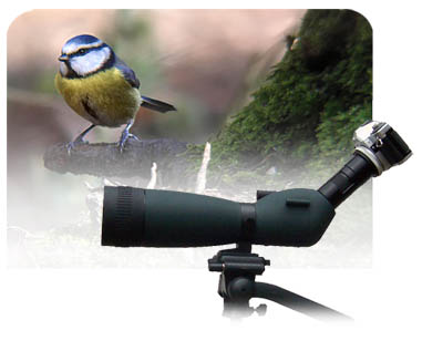 digiscoping-links.jpg