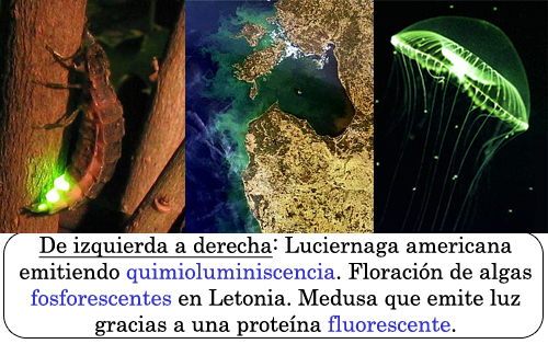 fluorescencia.jpg