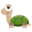 www.infotortuga.com