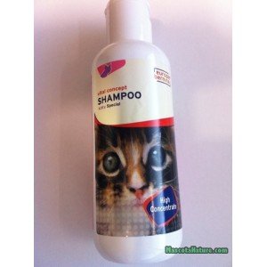 champu-especial-para-gatos.jpg