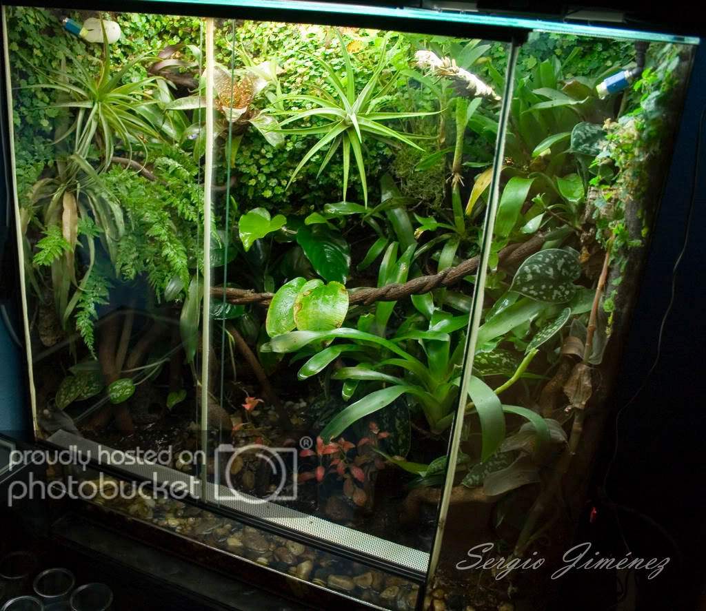 Vivario1006.jpg