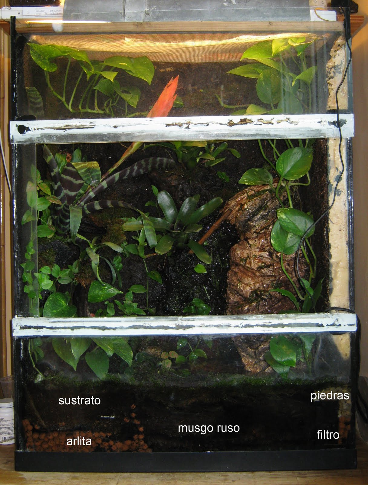 terrario.jpg
