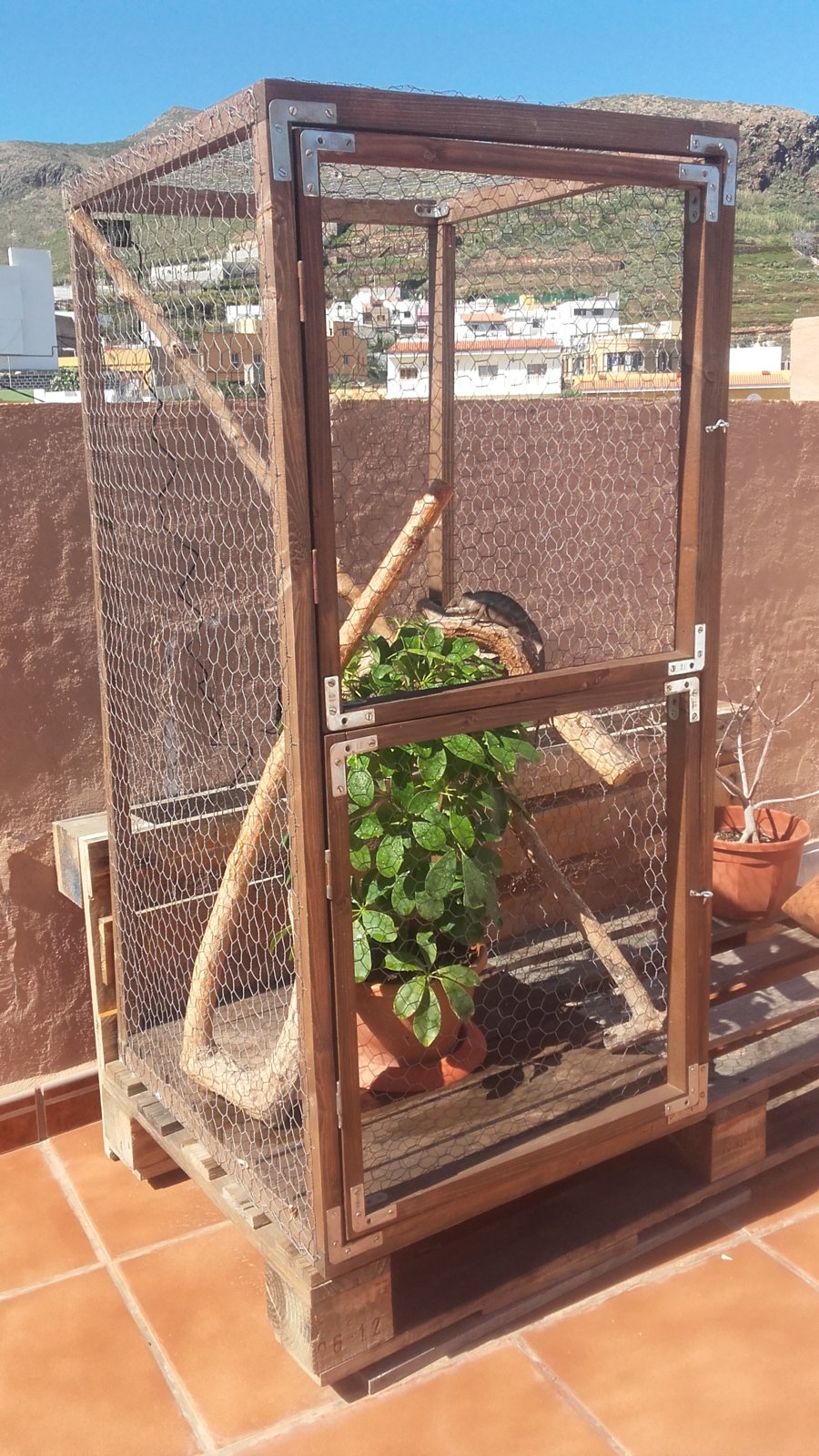 20160327_114014-jpg.205234