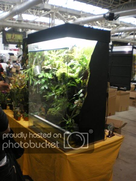 ExpoterrariaSeptembre2008101Medium.jpg