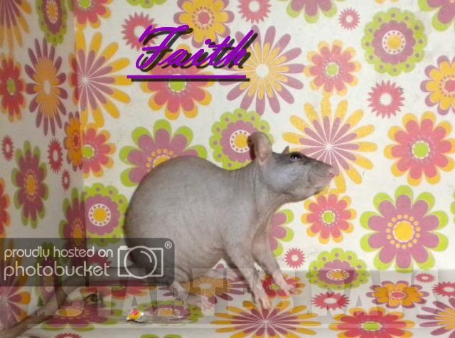 Faith2.jpg