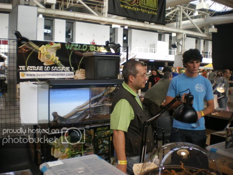 ExpoterrariaSeptembre2008056Medium.jpg