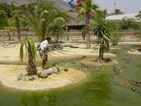 CROCODILE_PARK_600x450.jpg