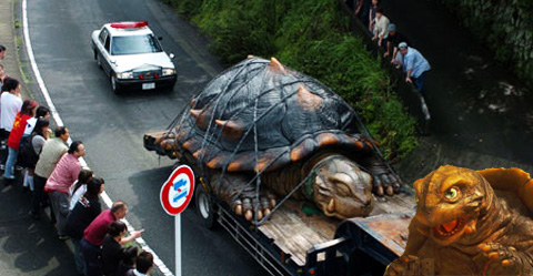 gamera-transporte.jpg
