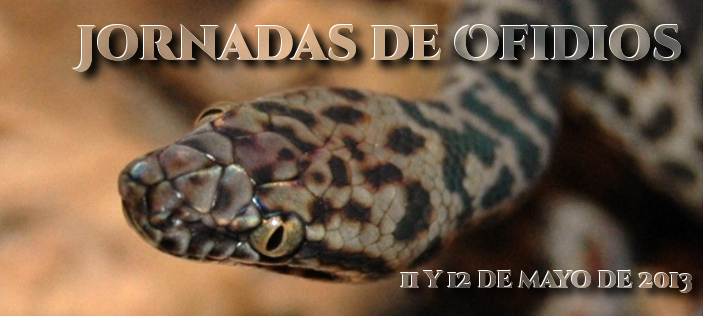 destacada_ofidios.jpg