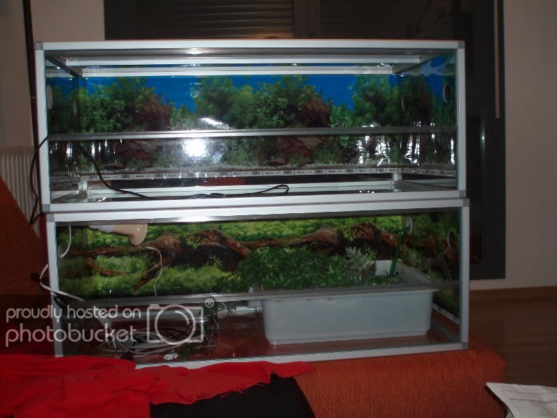 terrario1.jpg