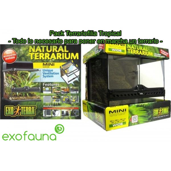 pack-terrarriofilia-tropical.jpg