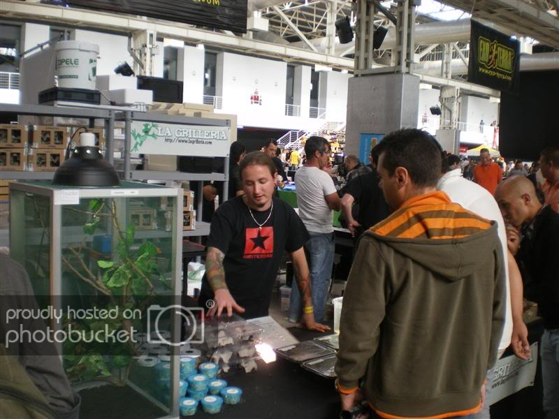 ExpoterrariaSeptembre2008049Medium.jpg