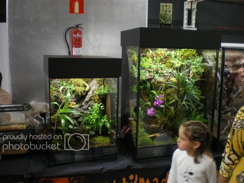 ExpoterrariaSeptembre2008021Medium.jpg