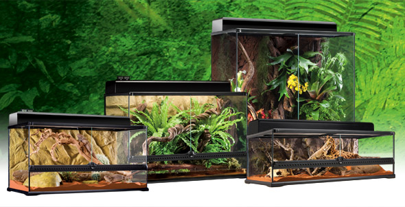 natural_terrarium_large_set.jpg
