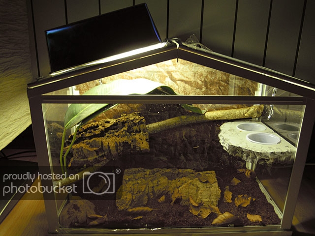 terrario-ikea1_zpsd8c28b01.jpg