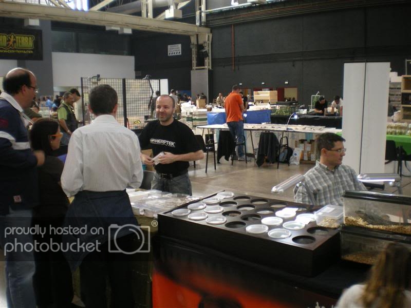 ExpoterrariaSeptembre2008022Medium.jpg
