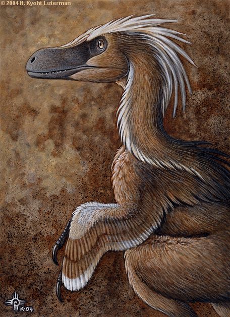 Dragon_Feathers___Velociraptor_by_kyoht.jpg