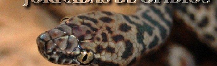 destacada_ofidios-703x214.jpg