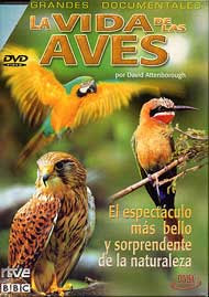LaVidaDeLasAves.jpg