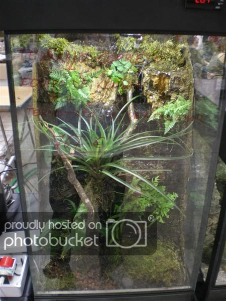 ExpoterrariaSeptembre2008090Medium.jpg