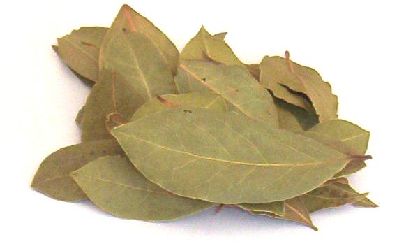 Bay+leaves.jpg