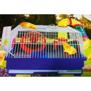 jaula-hamsters-basica.jpg