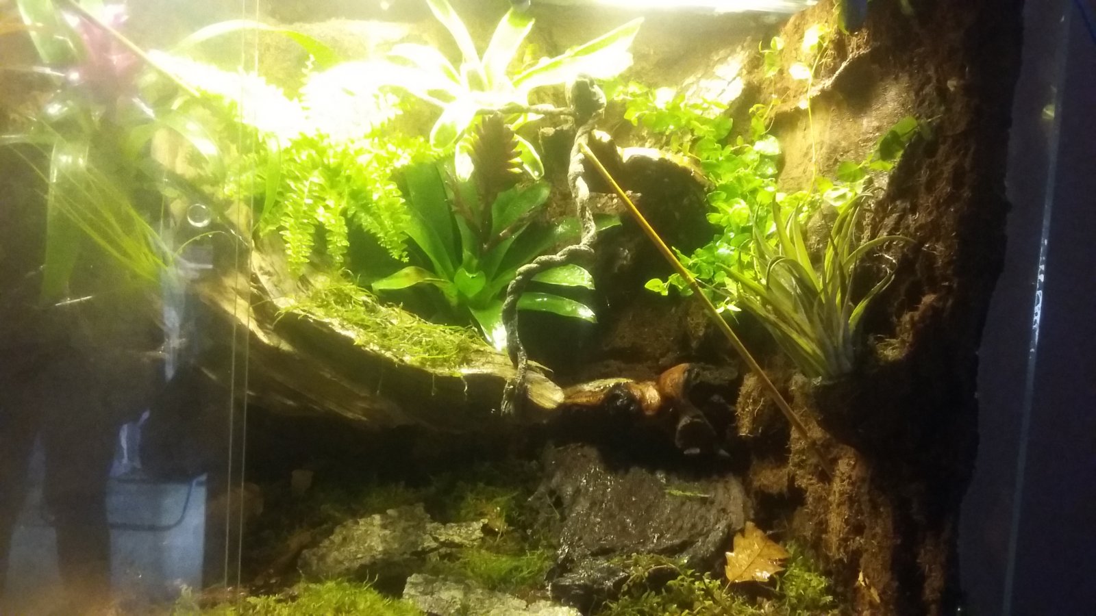 20170424_202422-jpg.209937