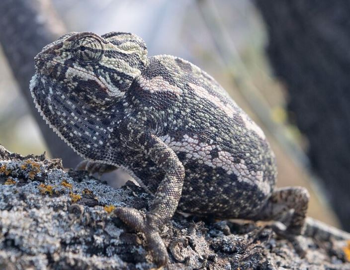 alicantediferente.com