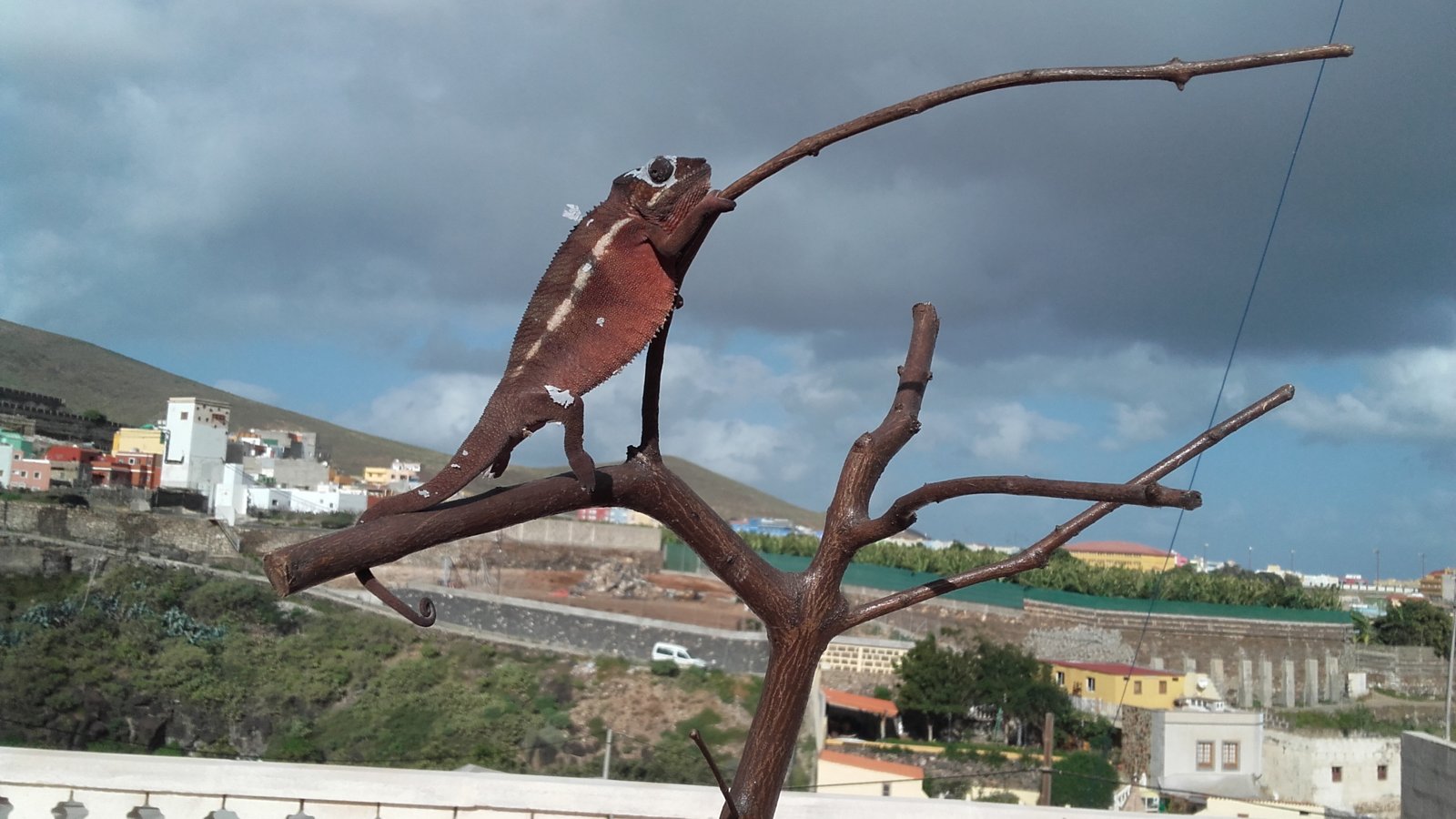 20160131_102414-jpg.204058