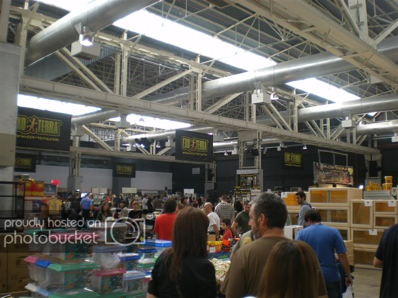 ExpoterrariaSeptembre2008003Medium.jpg