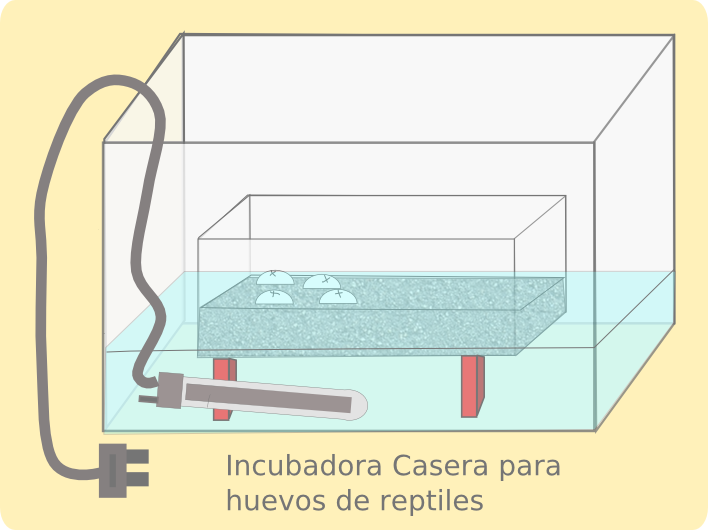 incubadora_casera_huevos_reptiles.png