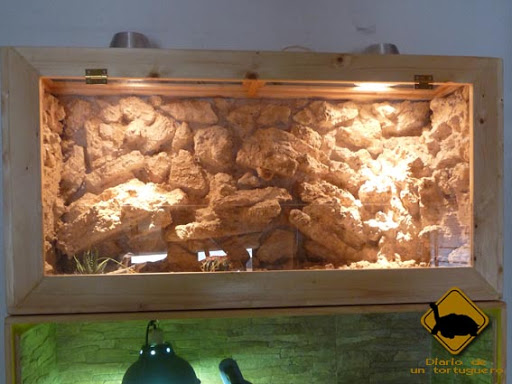 terrario.jpg
