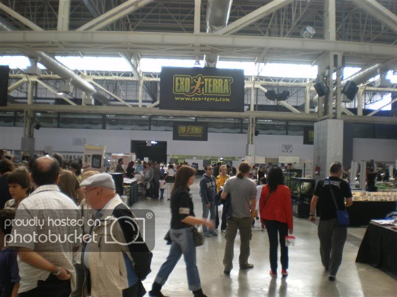 ExpoterrariaSeptembre2008011Medium.jpg