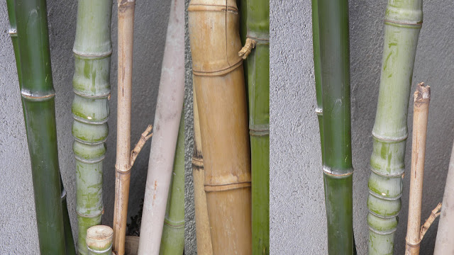 1bambu.jpg