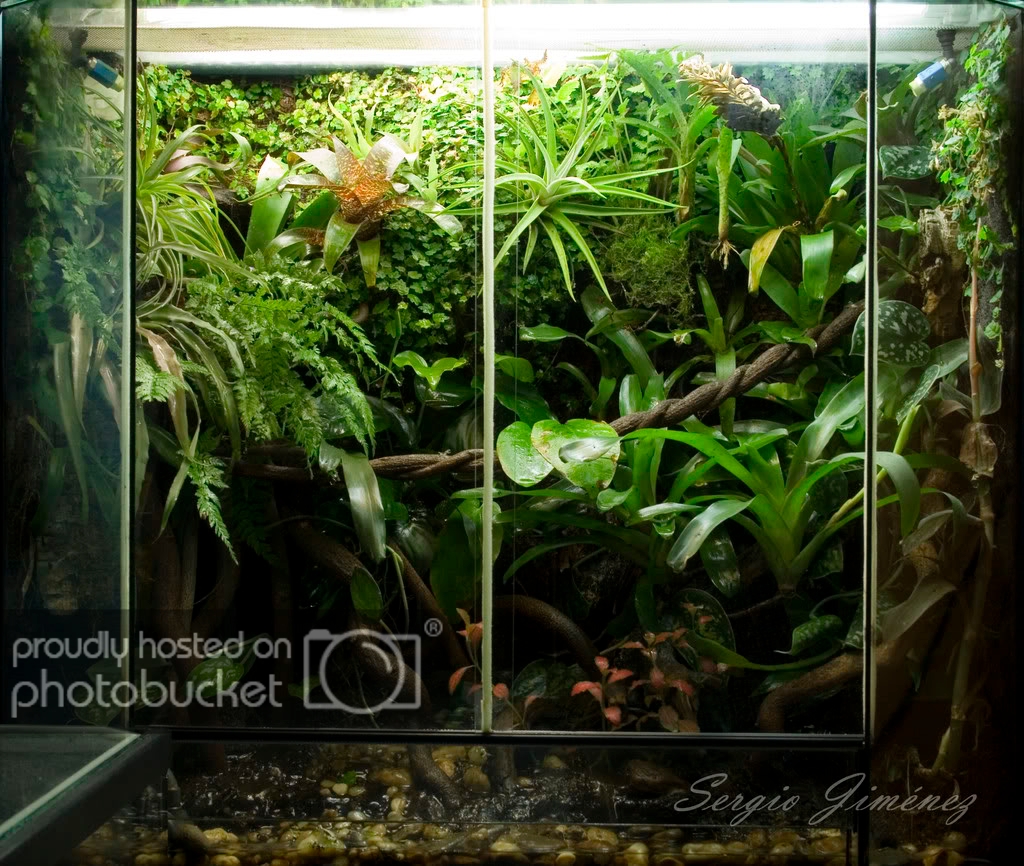 Vivario1004.jpg