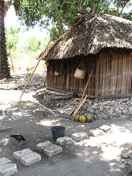 wtimor_traditional_home_2.jpg