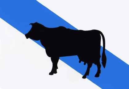 Galiza-Vaca.jpg