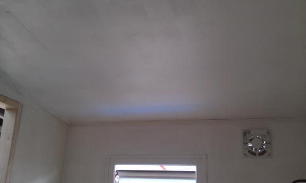 corny-girl-albums-shed-conversion-into-reptile-room-picture148781-first-coat-paint-ceiling.jpg