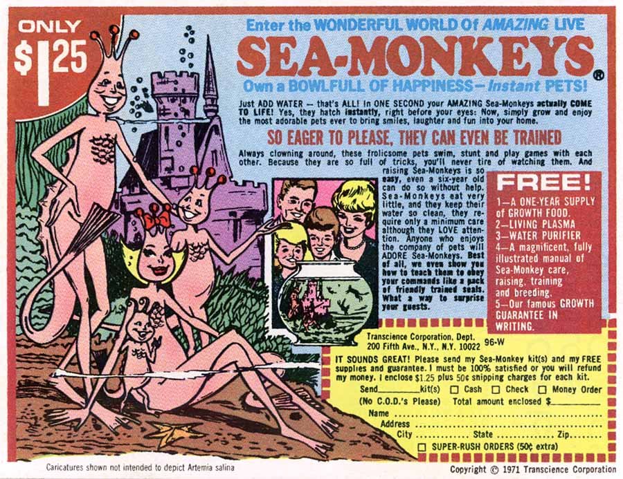 sea-monkeys.jpg