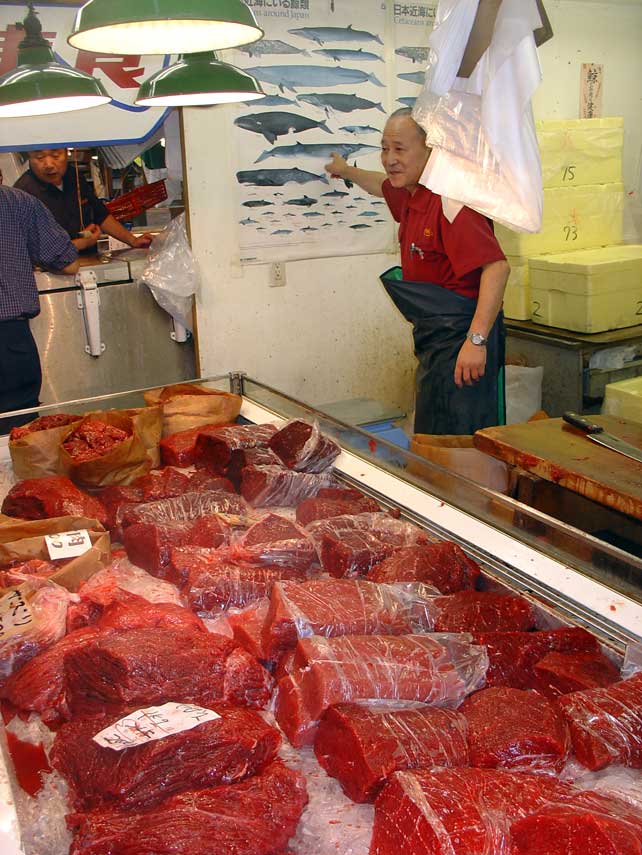 minke-whale-meat-big.jpg