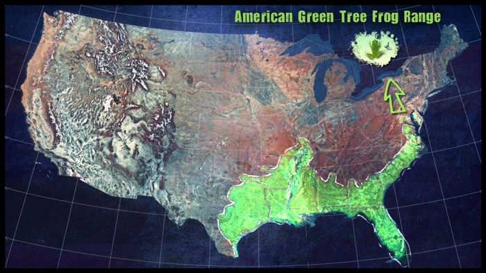 American-Green-tree-frog-map.jpg