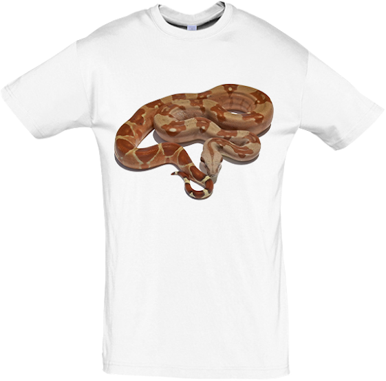 Boa+constrictor+01.png