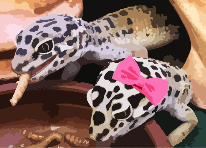 www.gecko-leopardo.com