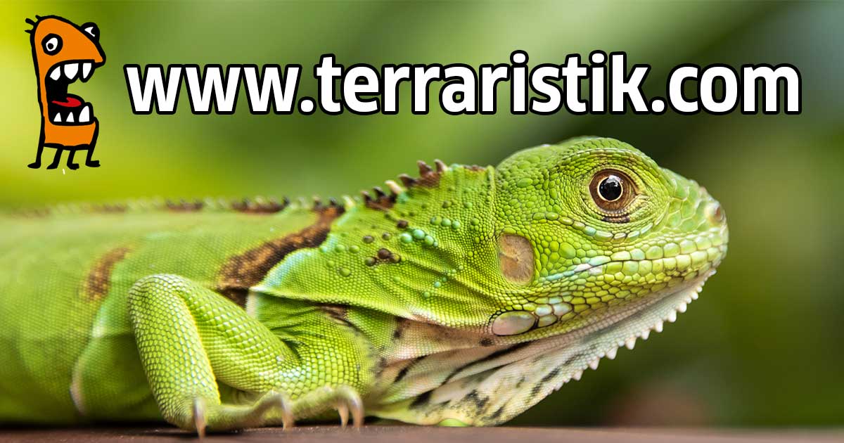 www.terraristik.com